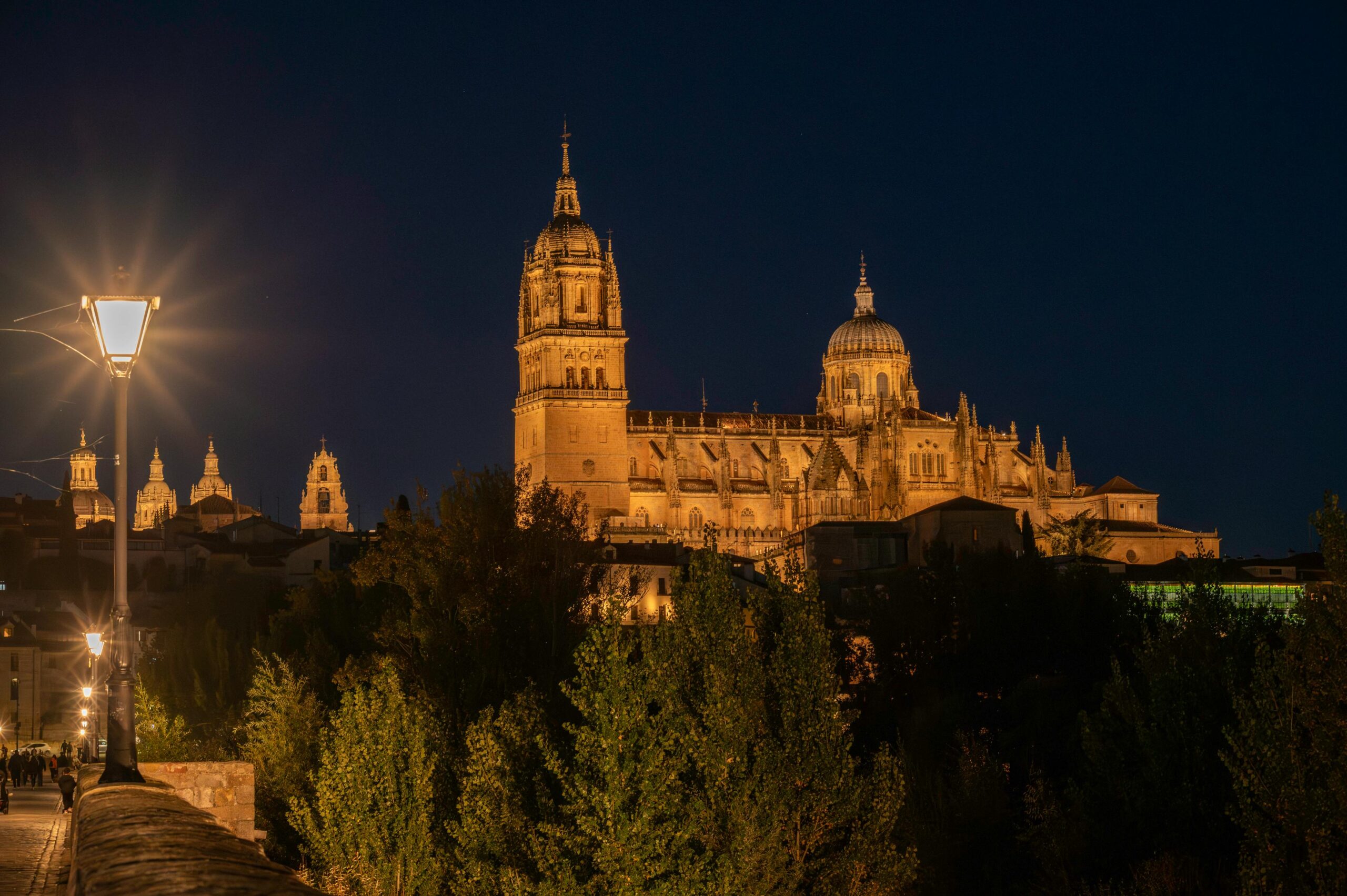 Stunning night view of Salamanca Cathedral illuminated, capturing its architectural elegance.